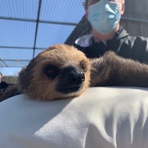 Meet your Posher, Marcia